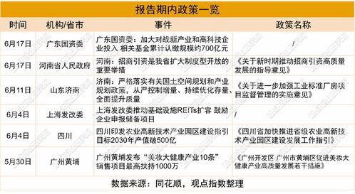 2025年6月產業園區暨基礎設施投資發展報告 項目投資與管理分析